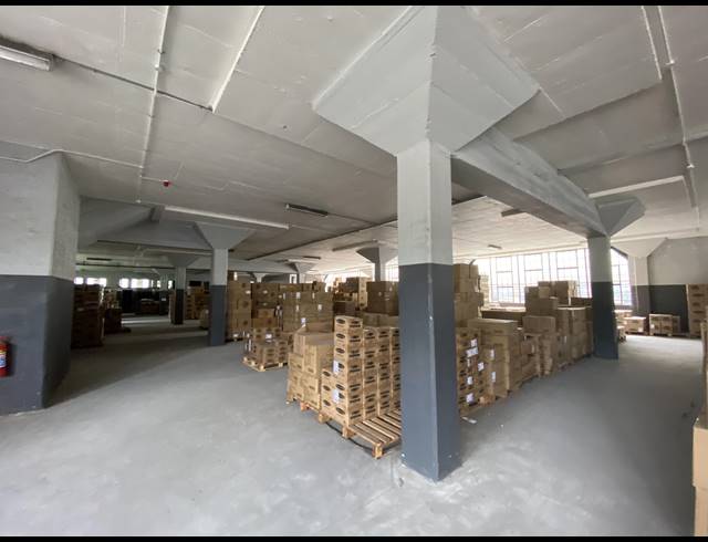 1,548M² WAREHOUSE TO LET IN NEW GERMANY